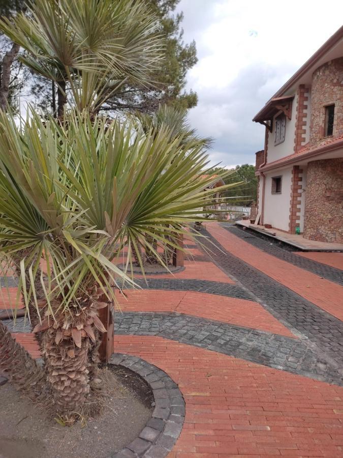 Etna Casa Del Sole Panzió Nicolosi Kültér fotó