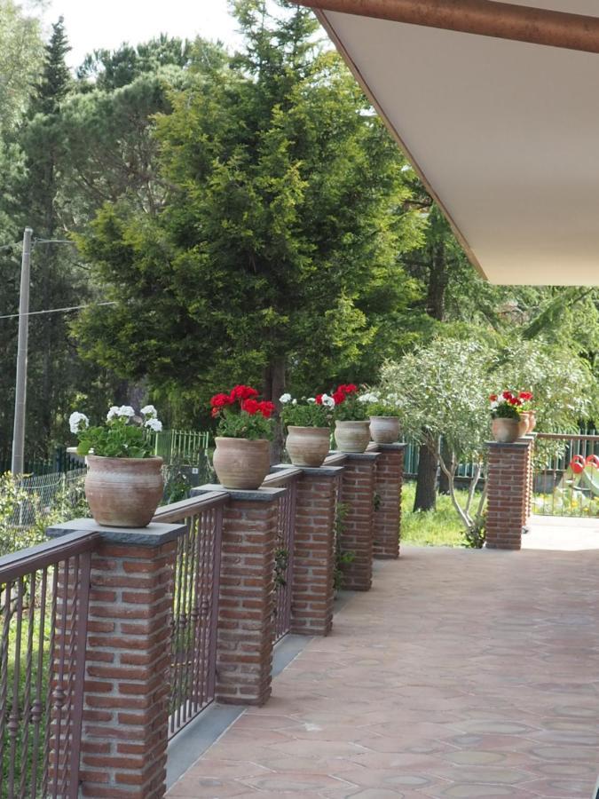 Etna Casa Del Sole Panzió Nicolosi Kültér fotó